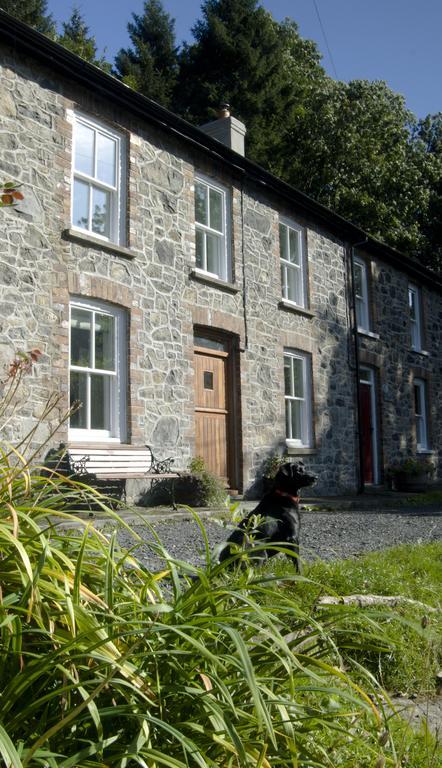 Bronfelin & Troed-Y-Rhiw Holiday Cottage Llanwrtyd Wells Exterior photo